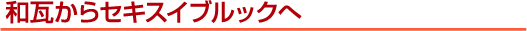 �a������Z�L�X�C�u���b�N��