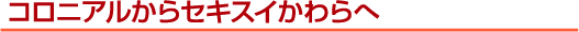 �R���j�A������Z�L�X�C������